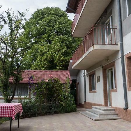 南埃福列Casa Din Gradina别墅 外观 照片