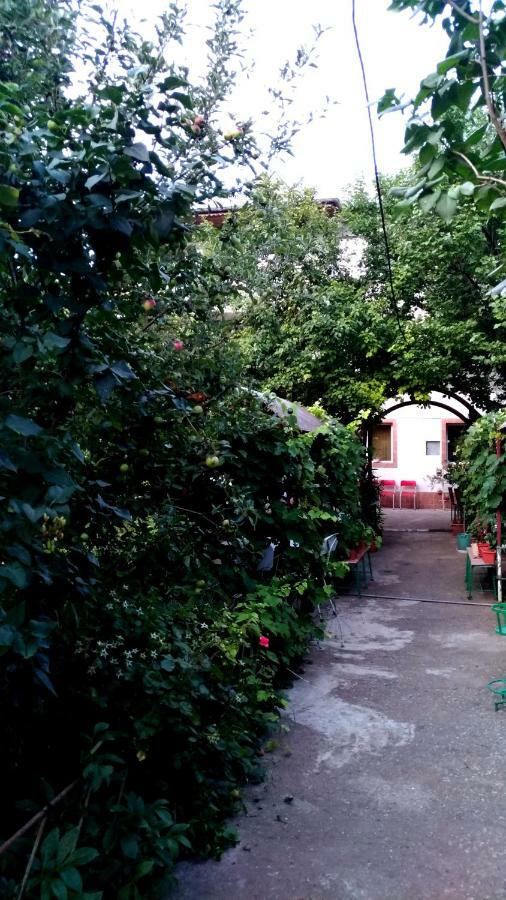 南埃福列Casa Din Gradina别墅 外观 照片