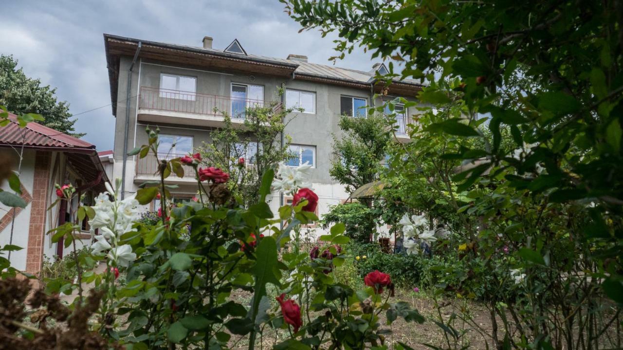 南埃福列Casa Din Gradina别墅 外观 照片