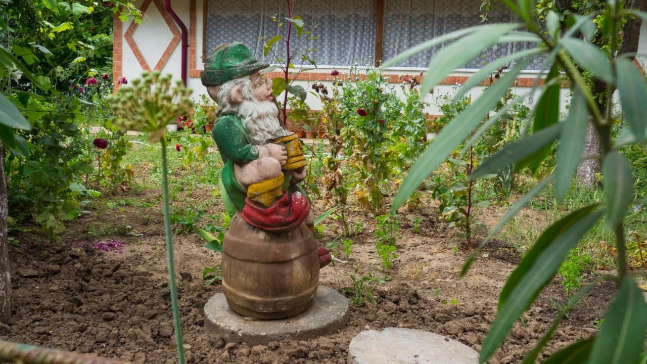 南埃福列Casa Din Gradina别墅 外观 照片