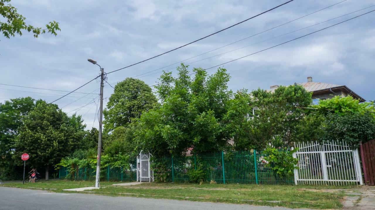 南埃福列Casa Din Gradina别墅 外观 照片