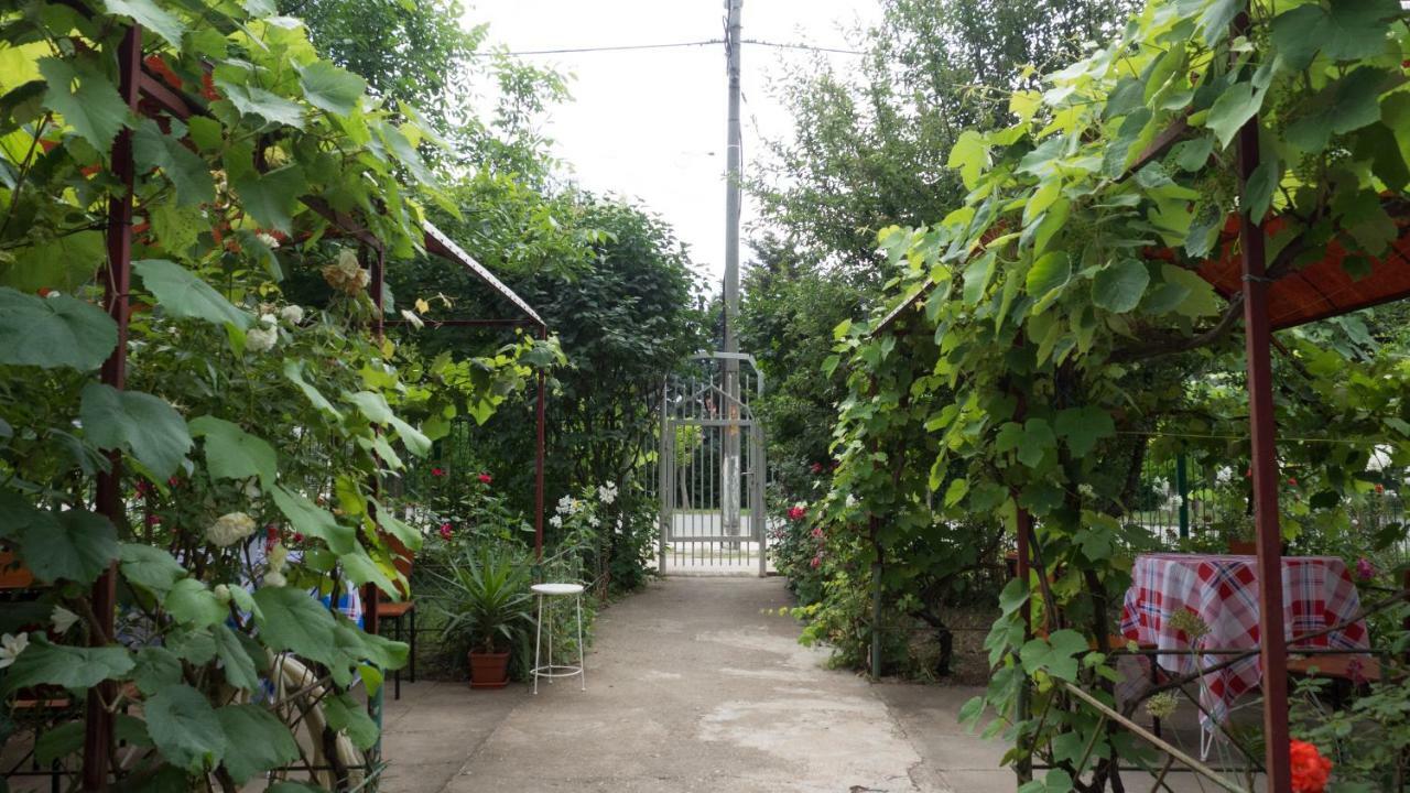 南埃福列Casa Din Gradina别墅 外观 照片