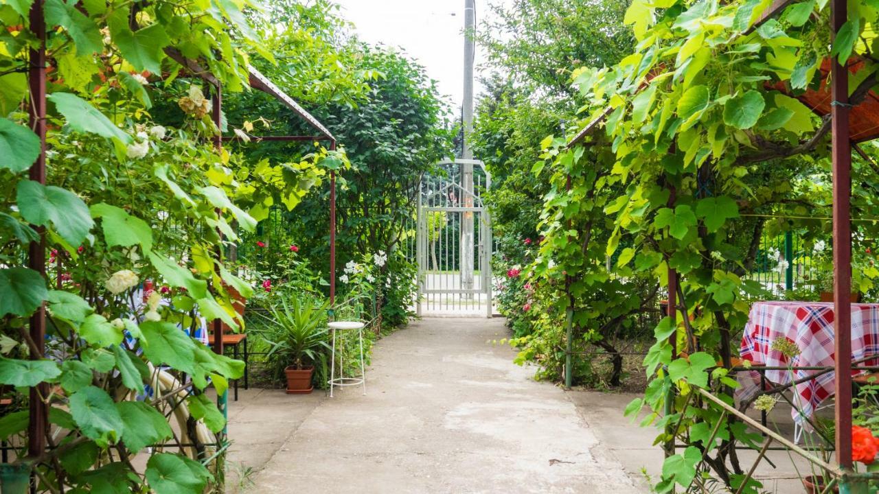 南埃福列Casa Din Gradina别墅 外观 照片